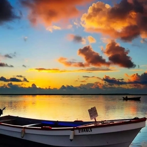 婷婷丁香五月缴情视频
