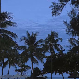 婷婷丁香五月缴情视频
